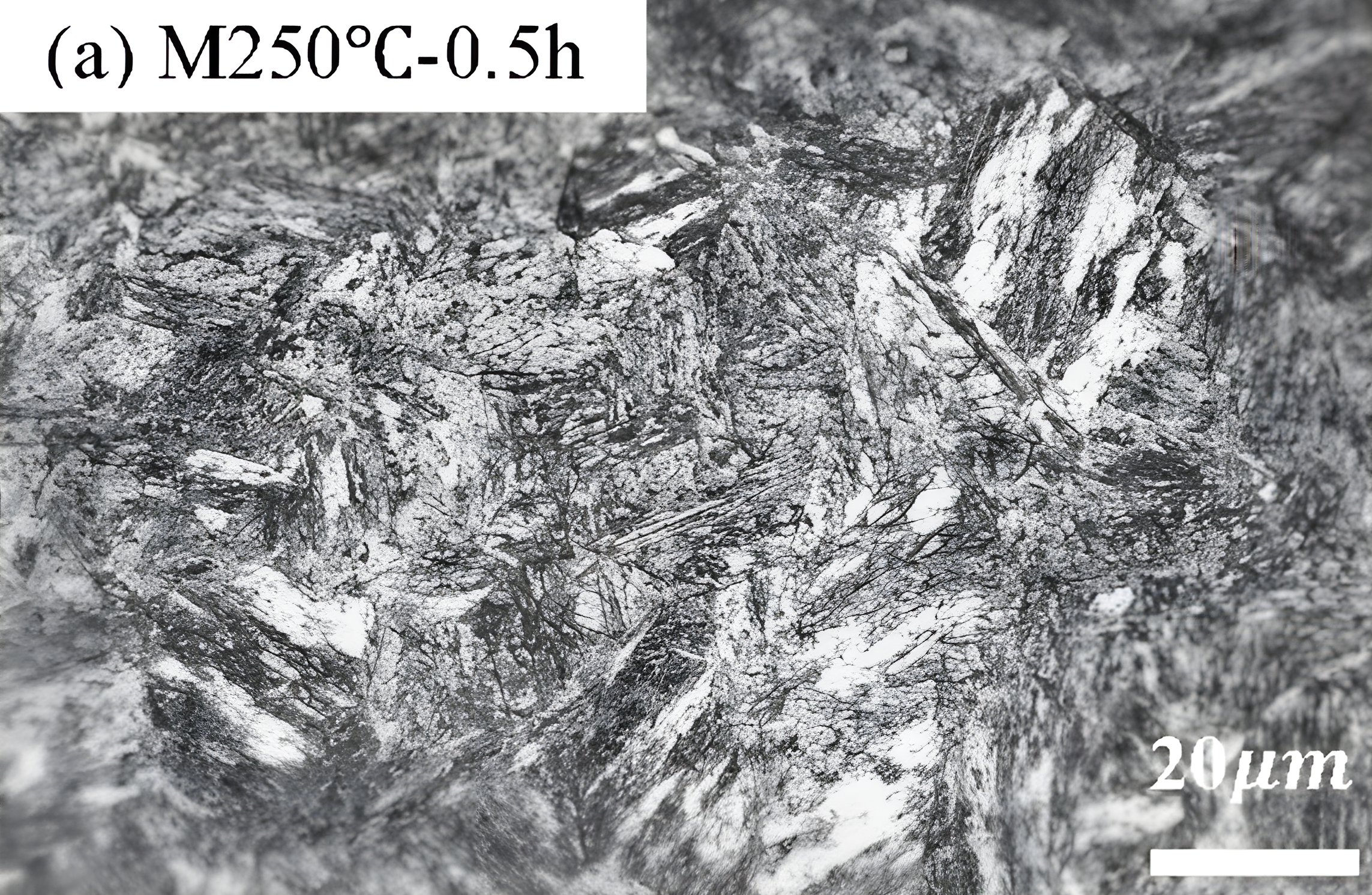 Martensite 2